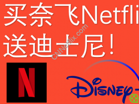 奈飞小铺：买Netflix奈飞账号免费送12个月迪士尼Disney+会员 | 年终钜惠